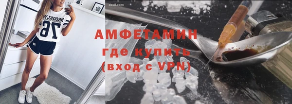 ПСИЛОЦИБИНОВЫЕ ГРИБЫ Абаза